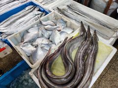 -芦潮港集贸市场