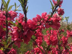 -白塘生态植物园