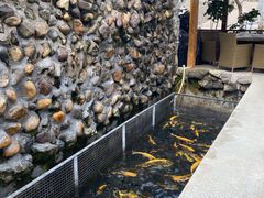 -京北渔家傲