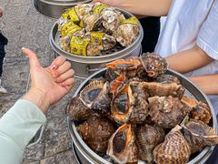 -东夷海鲜巨无霸(东夷小镇店)