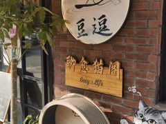 -豆逗聊愈猫阁Easy Life