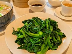 -金悦轩海鲜城(渔人码头店)