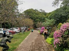 -广州市流溪河国家森林公园