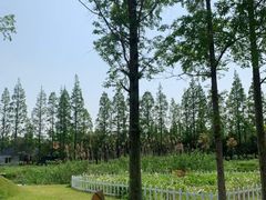 -前小桔亲子创意农场·草莓采摘·露营烧烤