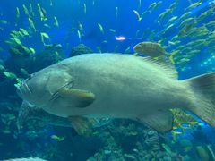 -成都浩海立方海洋公园