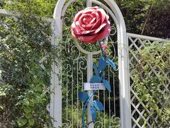 -昆山城市生态森林公园