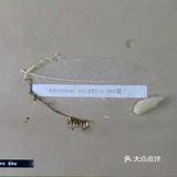 只有你想见到我的时候，我们的相遇才有意义