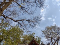 -莲湖公园