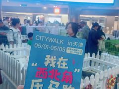 -鹏欣水游城