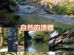 -无染寺