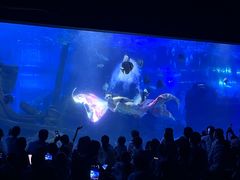 -江和美海洋公园