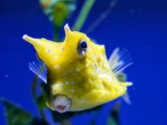 -重庆欢乐海底世界