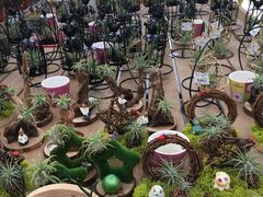 -荷兰花海