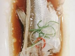 -全聚德(上海首店浦东店)