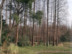 -杭州植物园