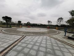 -王借岗森林公园