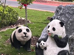 -合肥滨湖国家森林公园