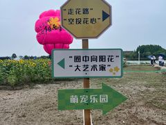 -杭州湾海上花田景区