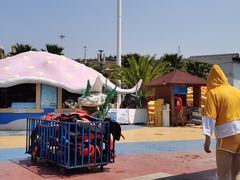 -青鱼湾水上乐园