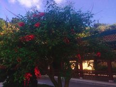 -宝陀讲寺