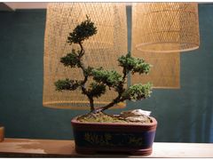 -行者素食(国赫红珊湾店)