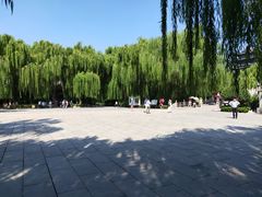 爆炒腰花-鹊华居·地道鲁菜·海鲜·融合味(大明湖店)