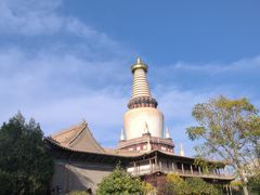 -张掖大佛寺景区