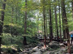 -国家植物园南园