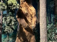 -陕西自然博物馆