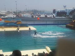 -北戴河圣蓝海洋公园