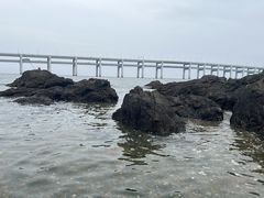 -黑石礁公园