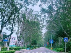 -湄洲岛