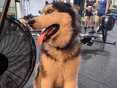 -CrossFit MeWellness