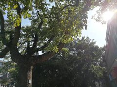 -黄埔古港