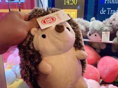 -回声星球·团建策划·赛事承办·拓展培训(大钟寺店)