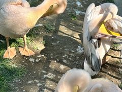 -水上乐园·欢乐世界