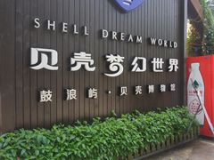-贝壳梦幻世界