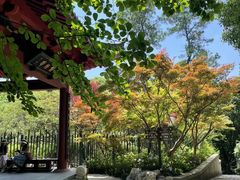 -城隍阁