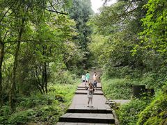 -西岭雪山大飞水景区