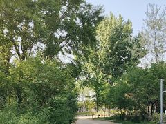 -长白岛森林公园