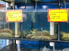 水产区-蚝专家(北滘店)