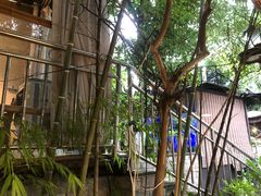 -先机泉水鸡汤(南山老君洞店)