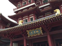 -新加坡佛牙寺龙华院