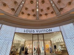 -拉斯维加斯永利酒店