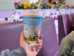 -史努比缤纷世界