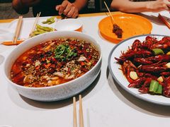 -杨氏青龙虾·羊蝎子(托乐嘉店)