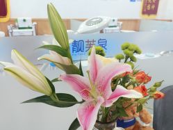 -靓芙泉祛痘.科技美肤连锁