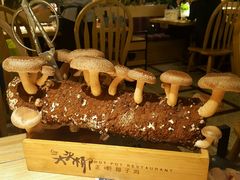 -大头椰·椰子鸡火锅(南宁万象城店)