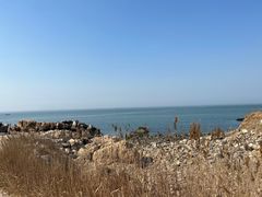 -养马岛旅游度假区