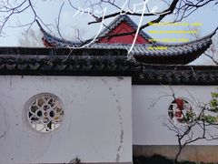 -梅花山(明孝陵内)